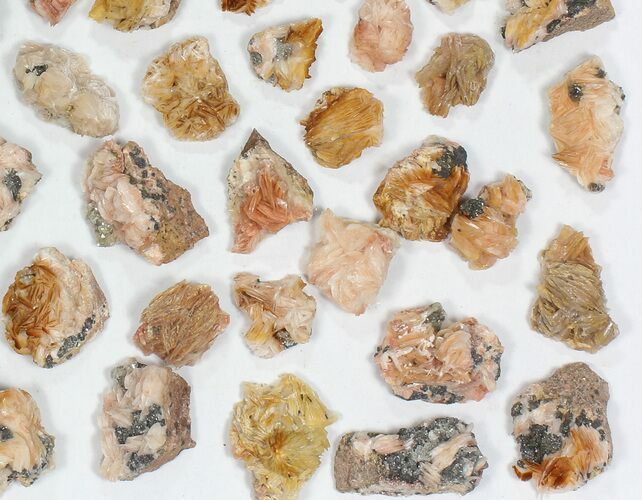 Lot: Pink/Orange Bladed Barite - ~ Pieces #77149